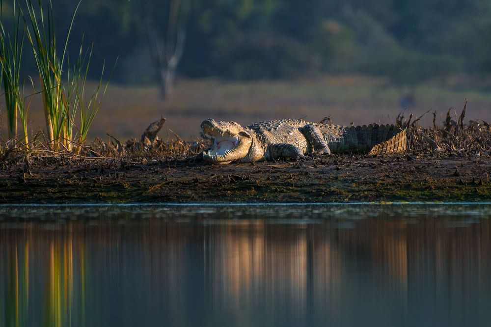 Photograph by Jain Salil