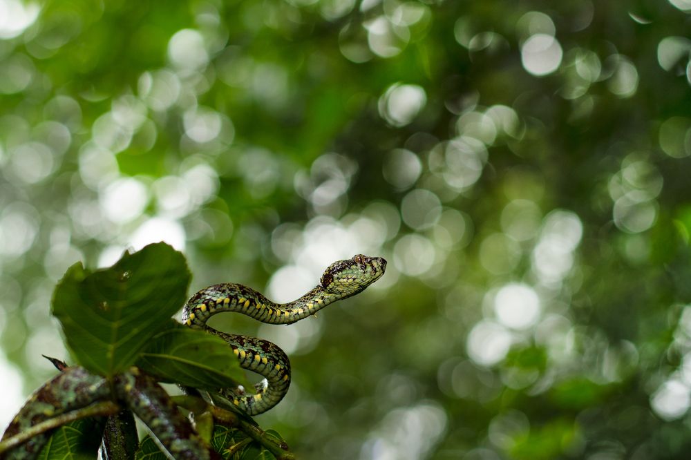 Photograph by Jain Salil