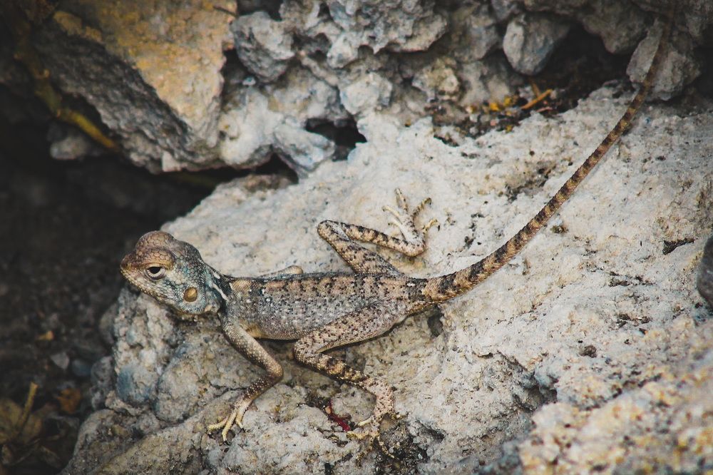 Photograph by Waleed Yousuf Alwahaibi