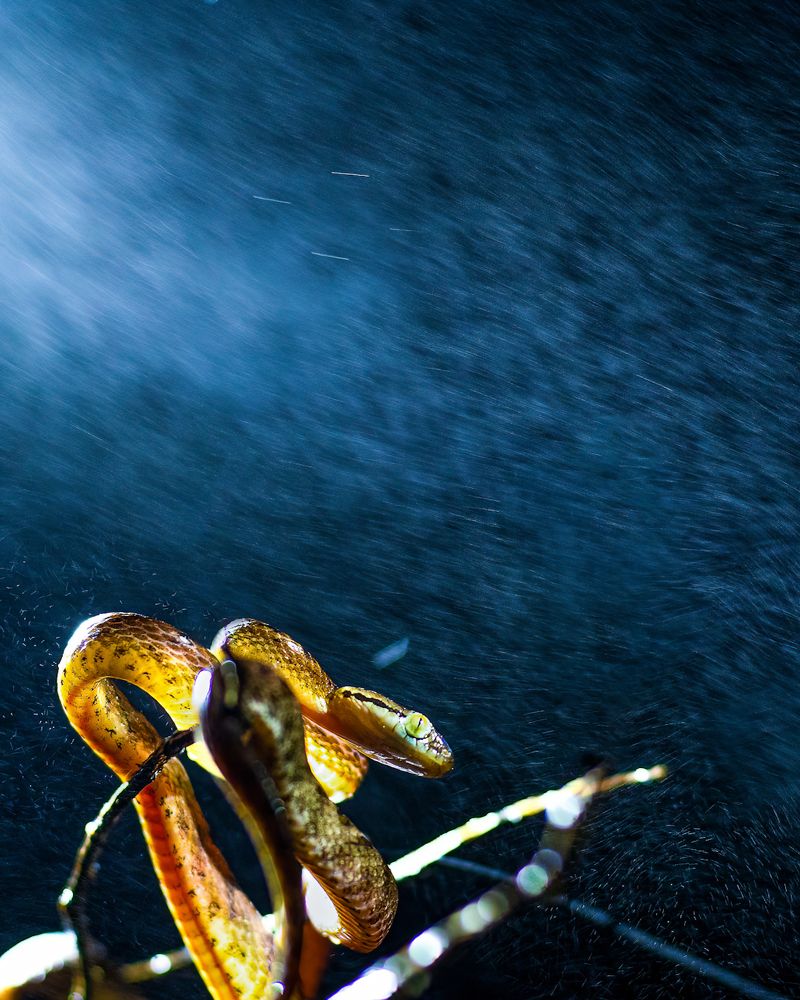 Photograph by Jain Salil