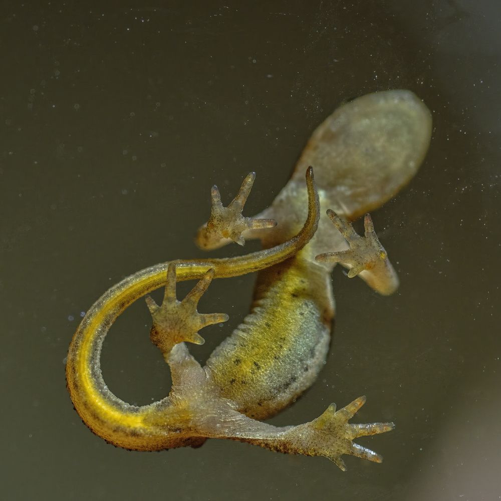 Фотография автора Eimar Kull