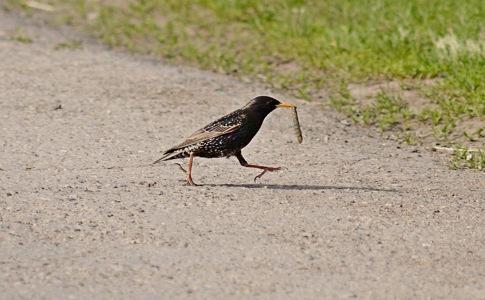 Photograph by Алексей Козлов