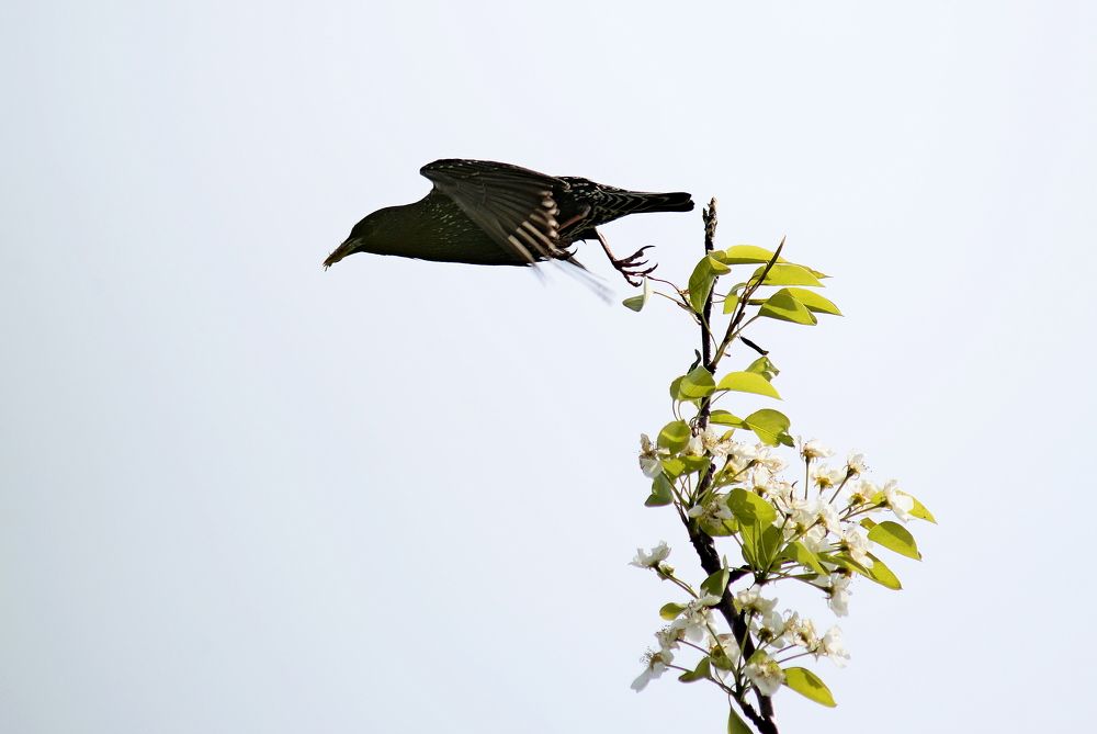 Photograph by Алексей Козлов