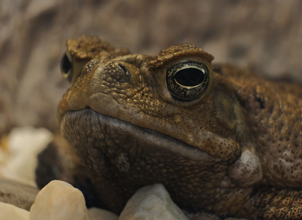 Photograph by Юрий Юрьевич