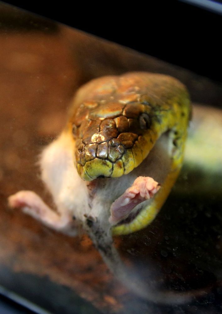 Photograph by Юрий Варюхин