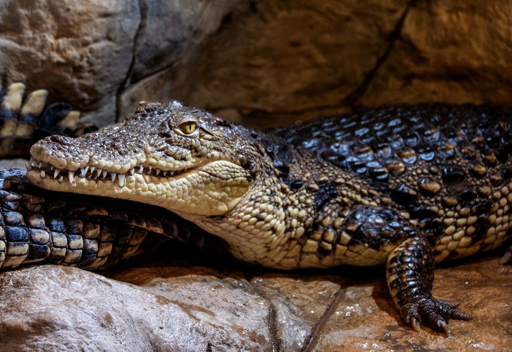 Photograph by Ашкинази-Исаченко Владимир