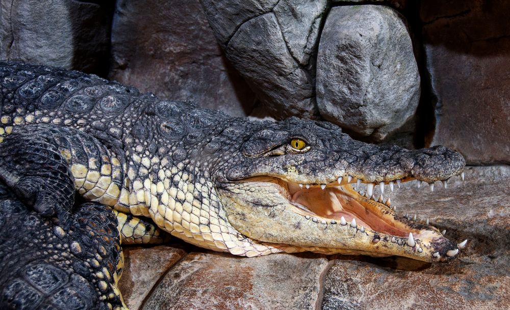 Photograph by Ашкинази-Исаченко Владимир