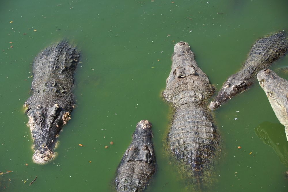 Photograph by Андрей Елькин