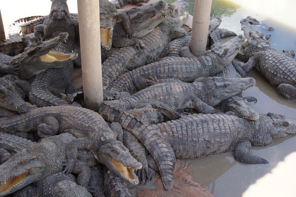 Photograph by Андрей Елькин