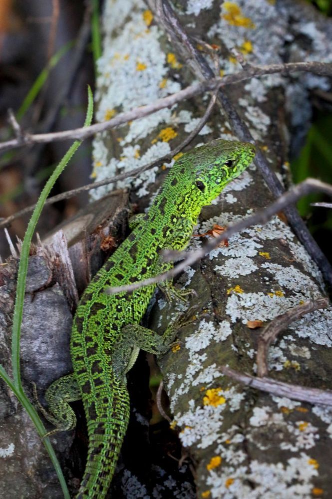 Photograph by Юрий Варюхин