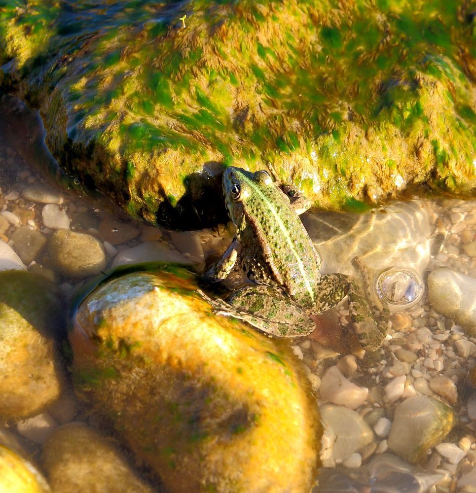 Photograph by Юрий Варюхин