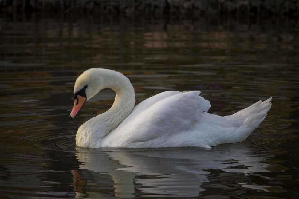 Photograph by Вячеслав Булатов