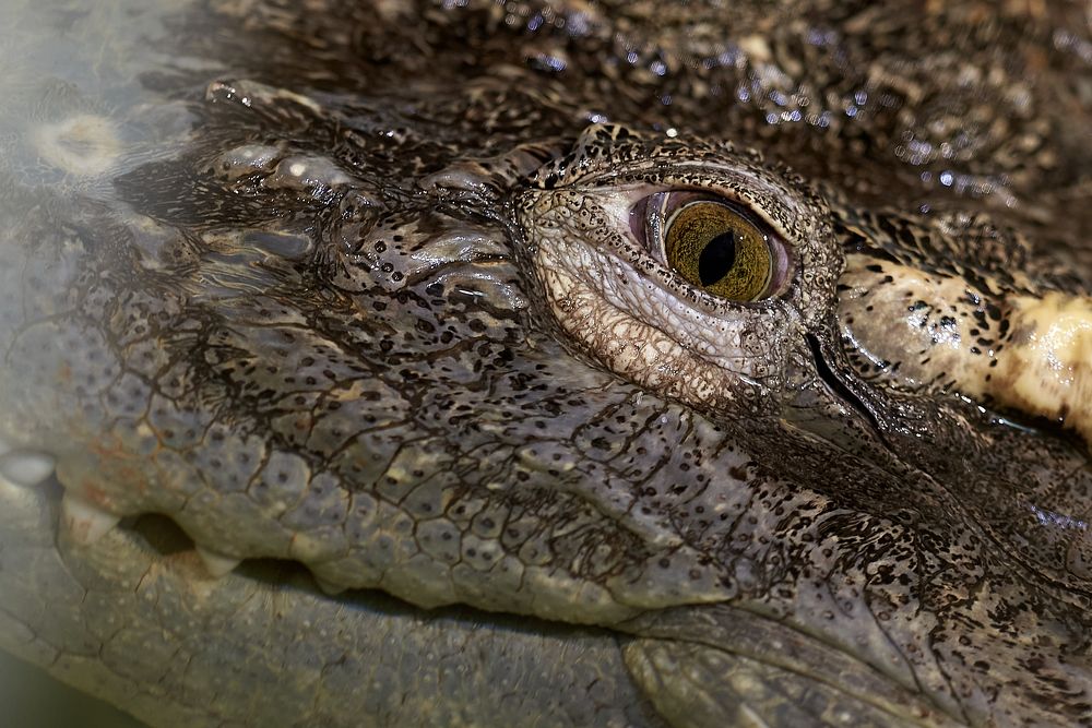 Photograph by Игорь Н. Адамов