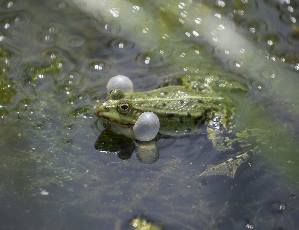 Фотография автора Uljana Kuchar