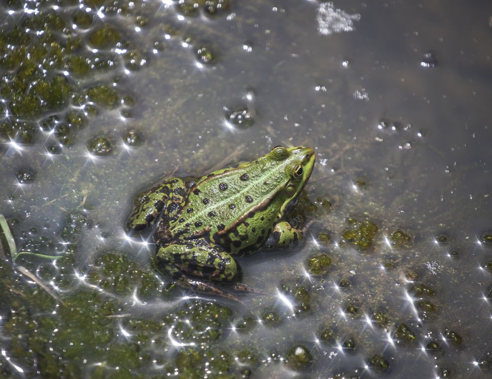 Фотография автора Uljana Kuchar