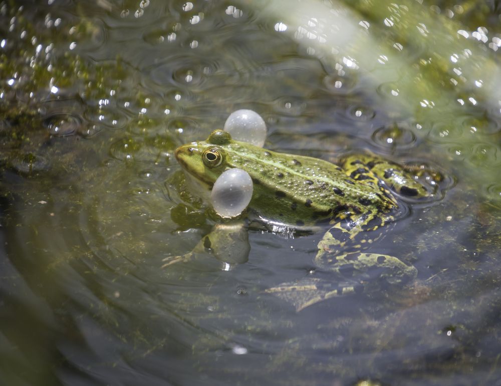 Фотография автора Uljana Kuchar