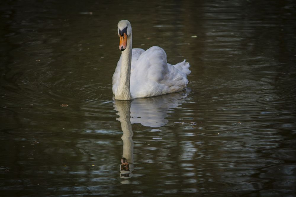 Photograph by Вячеслав Булатов