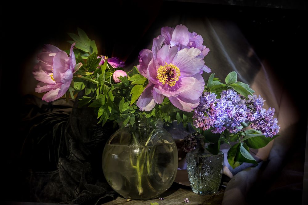 Фотография автора Milena Ivanova