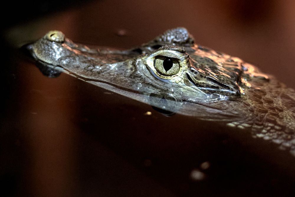 Photograph by Игорь Н. Адамов