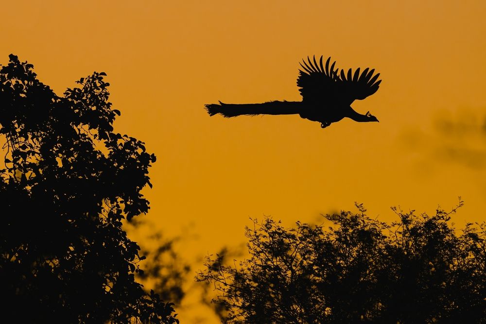 Photograph by Hardik Shah