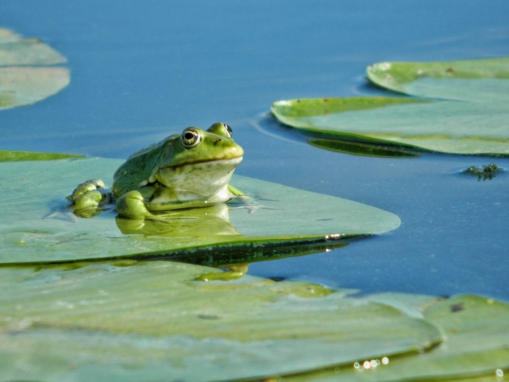Photograph by Sergey Velichko