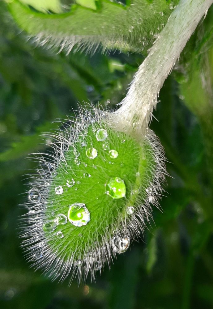 Photograph by Ksenia Werner