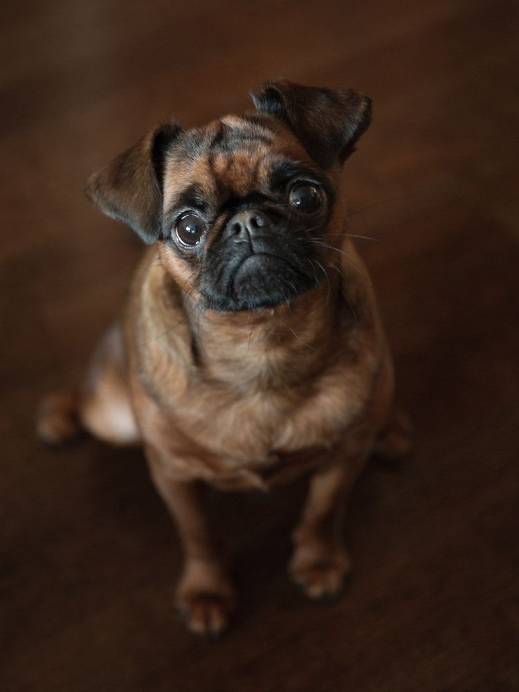 Photograph by Елена Барбарич