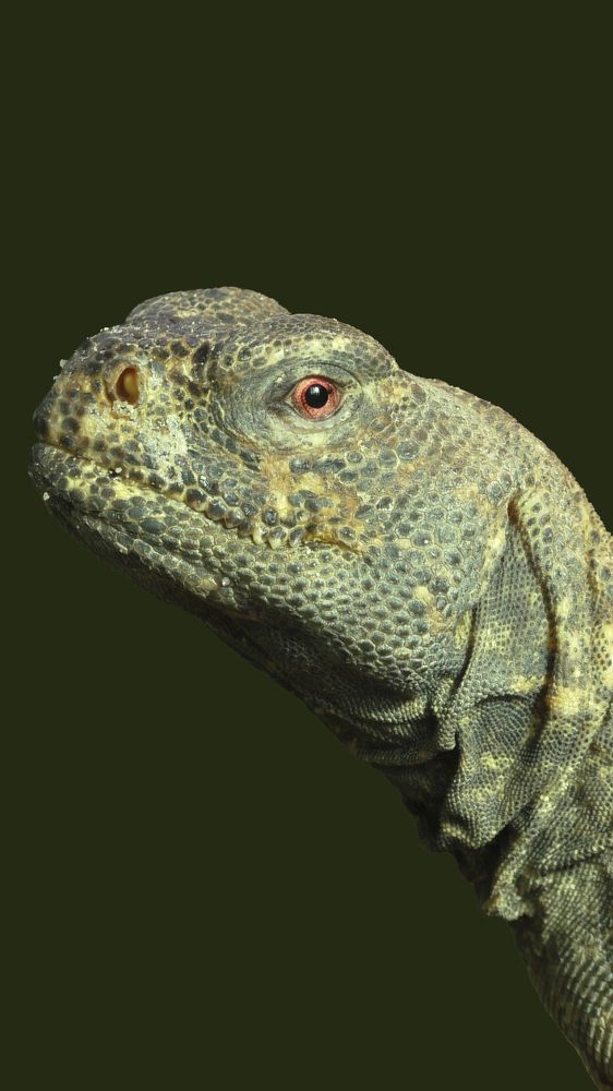 Photograph by Евгения Титова