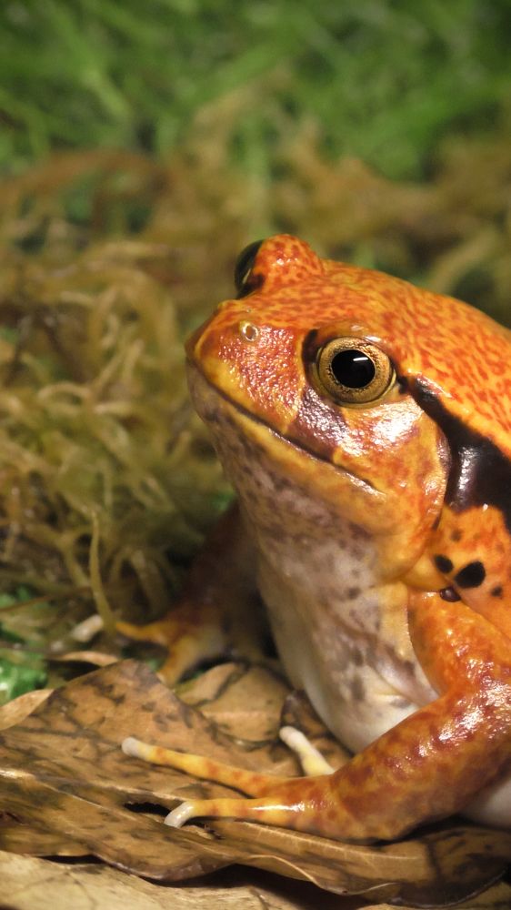 Photograph by Евгения Титова