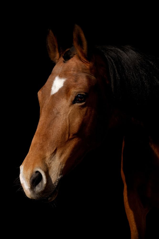 Photograph by Евгения Титова