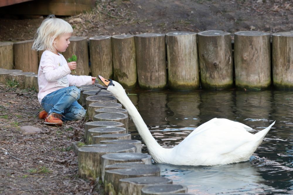 Photograph by LEONID DUBINA