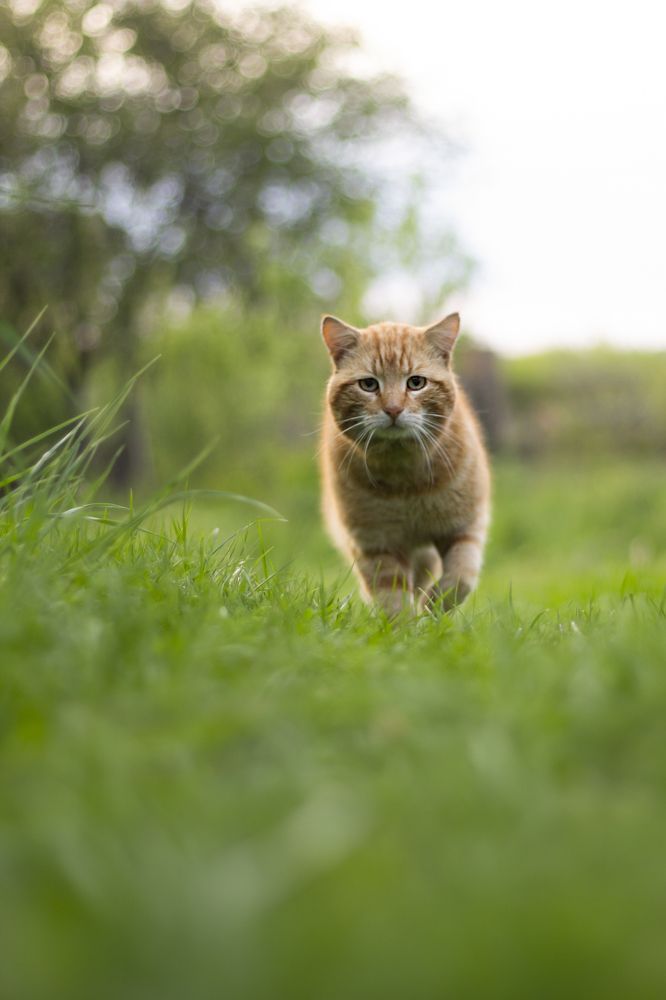Photograph by Дарья Ващенко-Панкина