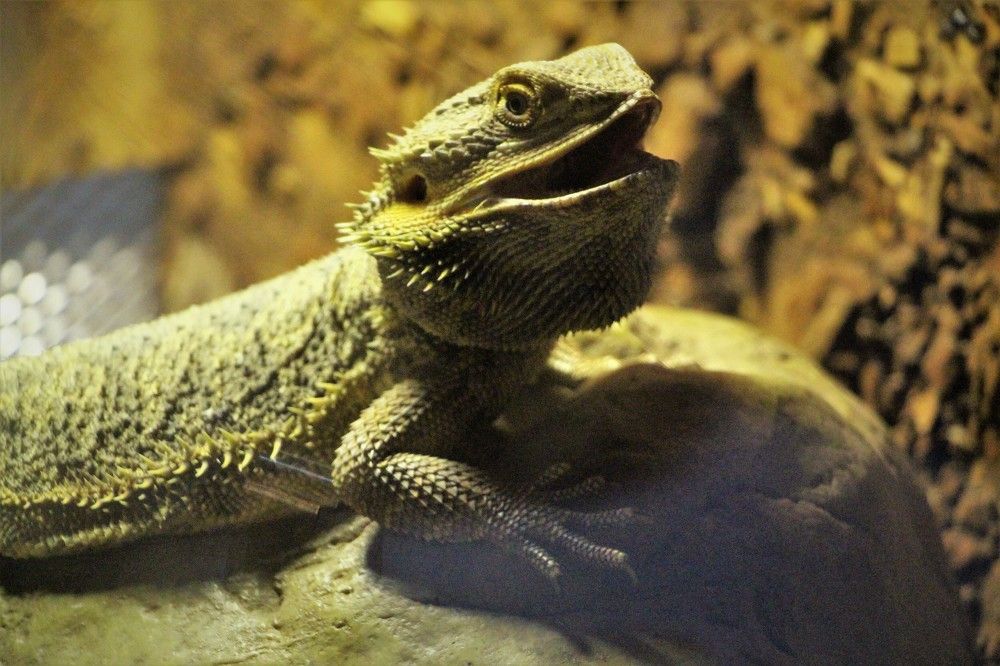 Photograph by Людмила Бутова