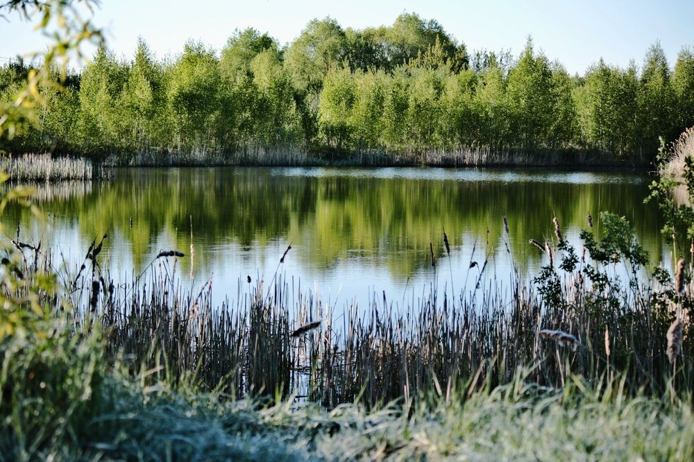 Фотография автора Vladimir Kostyuchkov