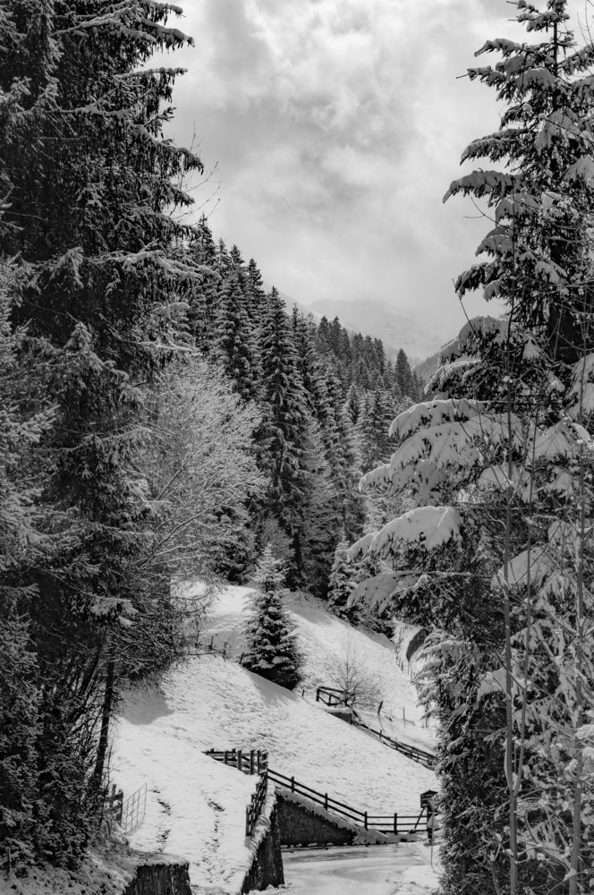 Photograph by Liliana Negoi