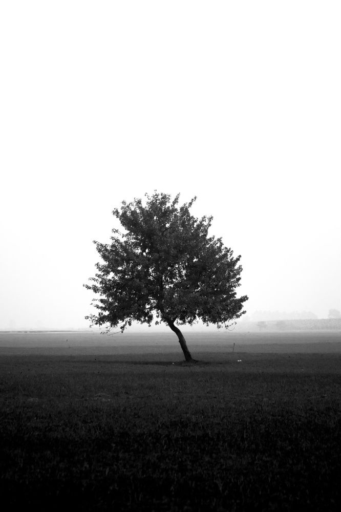 Photograph by Rakib Hasan Redoan