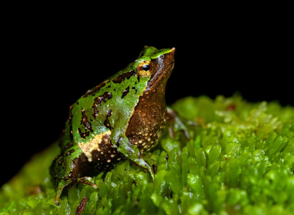 Especialmente pequeña