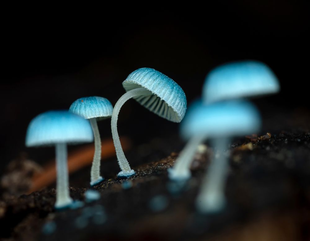 Photograph by Eduardo Muñoz