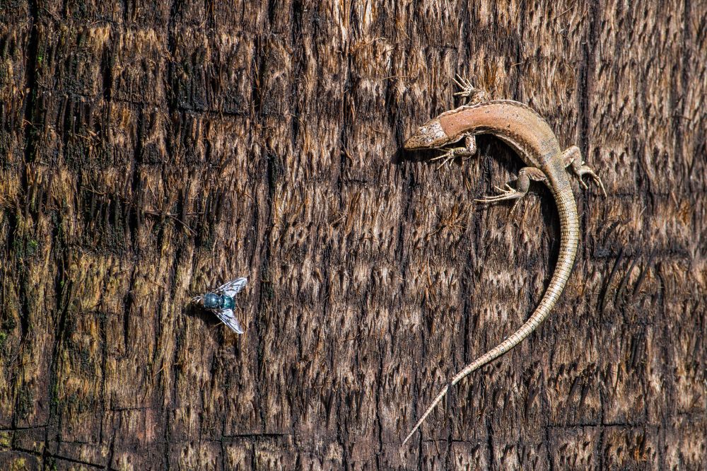 Photograph by Francisco José López Fernández