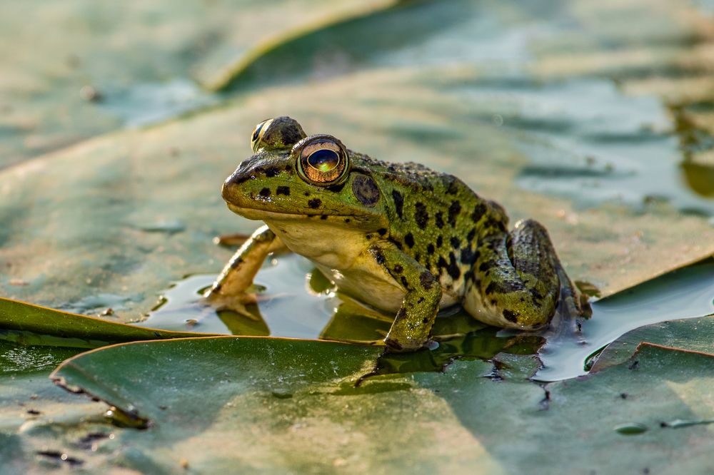 Photograph by Francisco José López Fernández