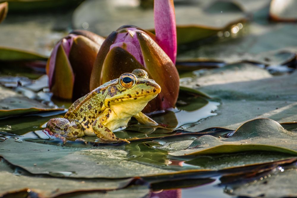 Photograph by Francisco José López Fernández