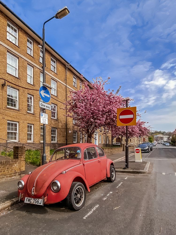 Photograph by Ganna Lobodenko