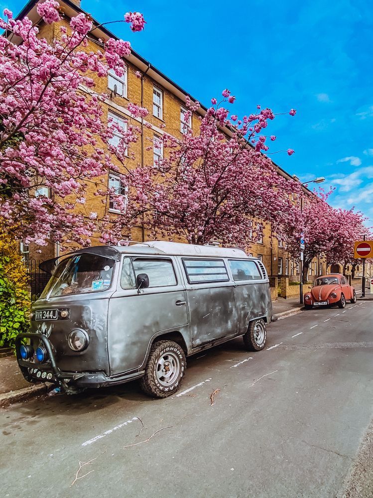 Photograph by Ganna Lobodenko