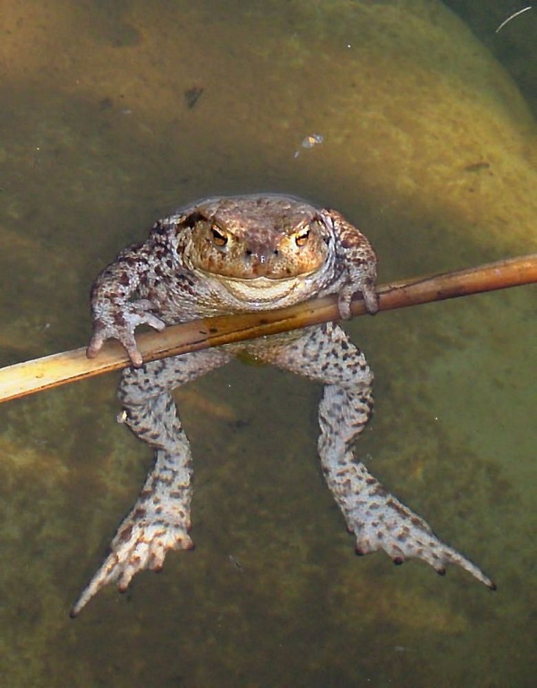 Photograph by Савоцкий Роман