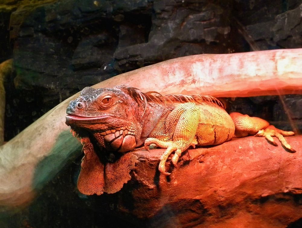 Photograph by Савоцкий Роман