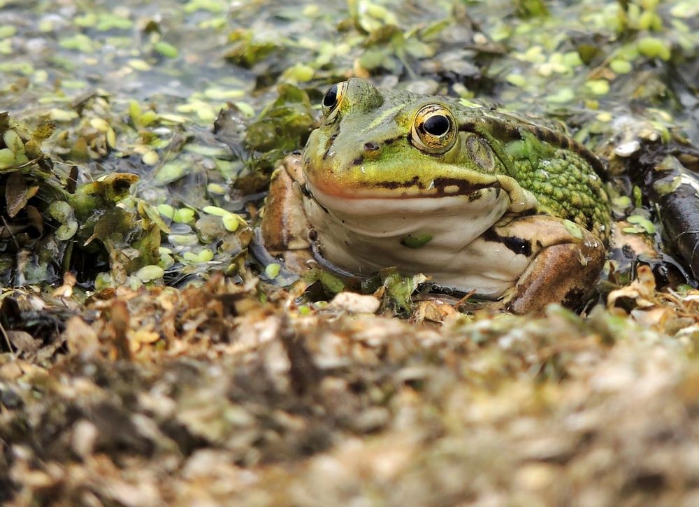 Фотография автора Роман Савоцкий