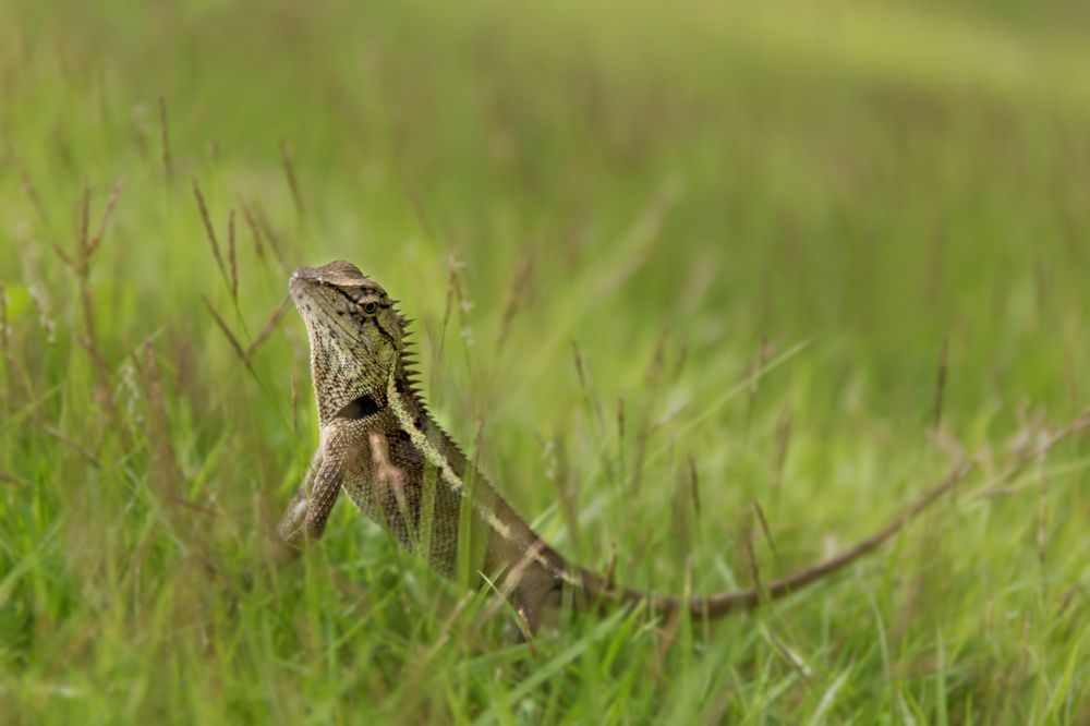 Photograph by Сергей Романченко