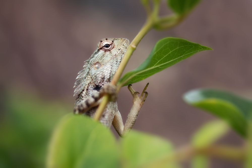 Photograph by Сергей Романченко