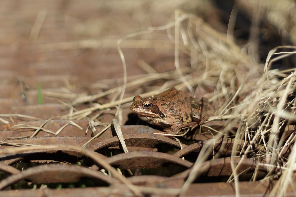 Photograph by Anna Dubinina