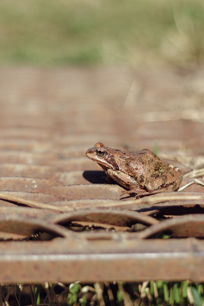 Photograph by Anna Dubinina